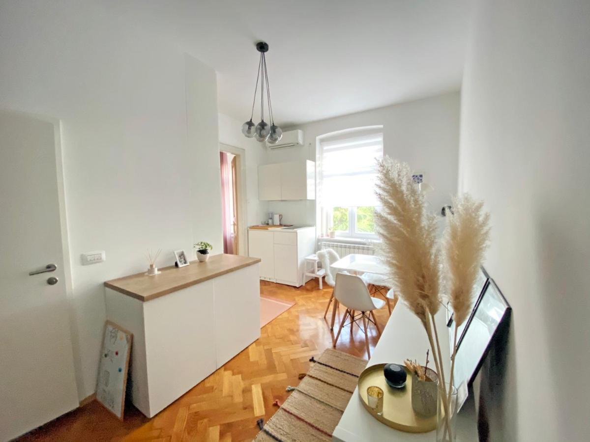 Bright Apartment 45M2 - Free Parking - Wifi Rijeka Luaran gambar