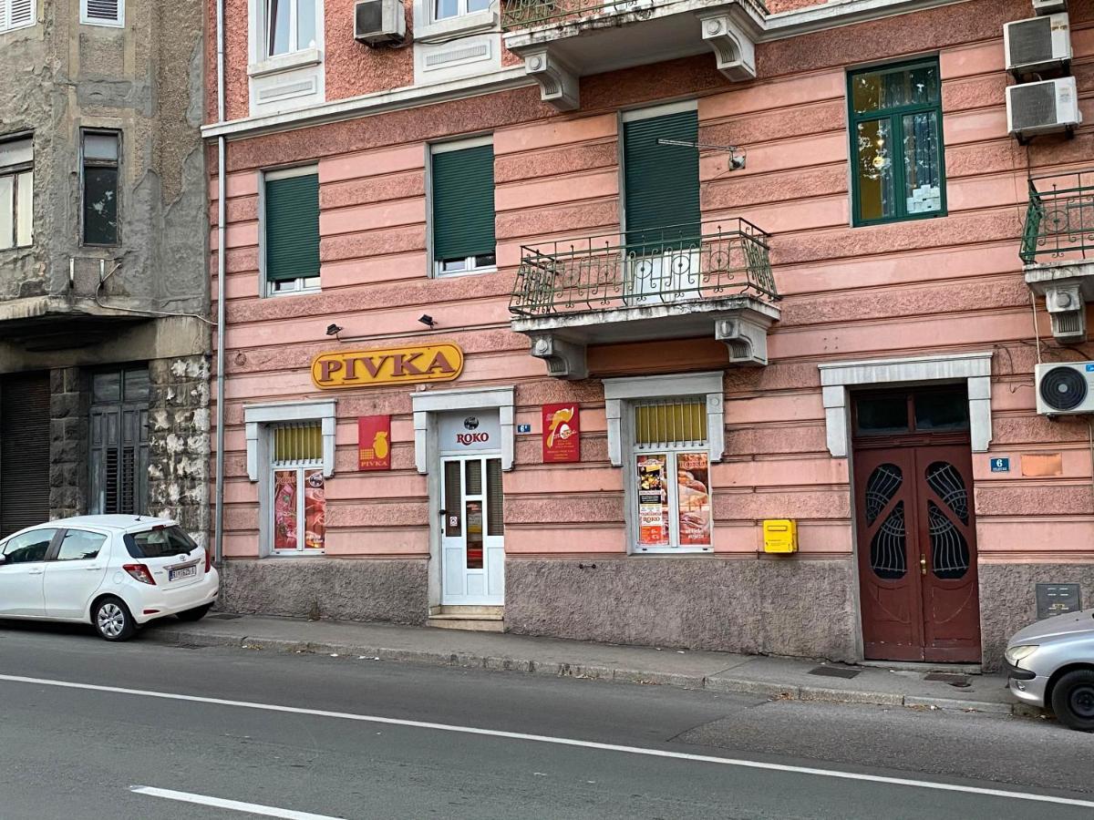 Bright Apartment 45M2 - Free Parking - Wifi Rijeka Luaran gambar